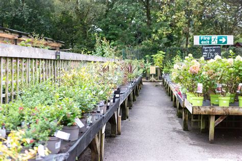 pyle garden village events|Visit Bridgend .